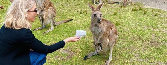 Zerrin Tekindor elleriyle kanguru besledi