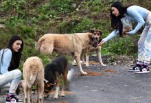 Burcu Kıratlı’dan örnek davranış